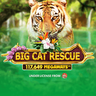 Big Cat Rescue Megaways game thumbnail
